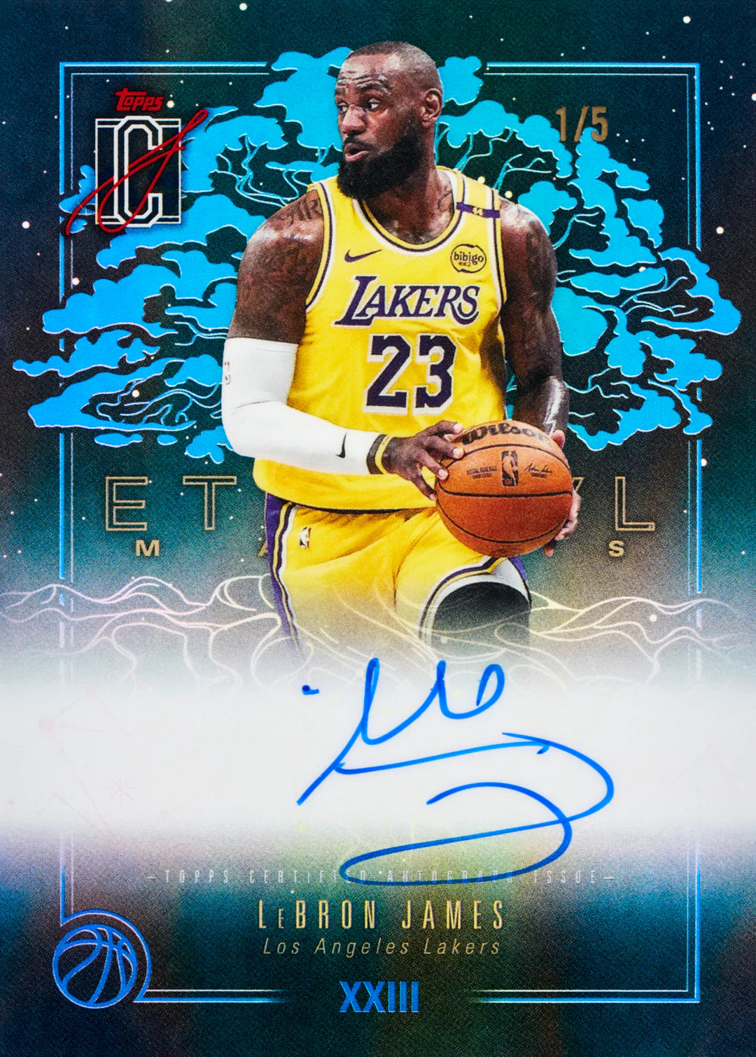 Topps NBA Signature Class Basketball 2025/26 Value