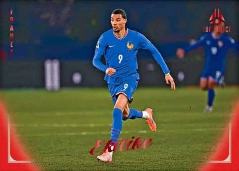 Panini Luminance Frankreich 2026 Hobby