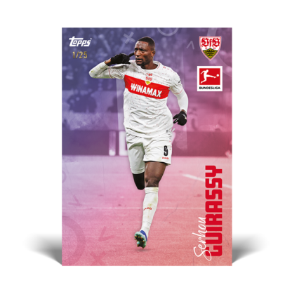 Topps Bundesliga International Stars 2023/24 – Bild 3