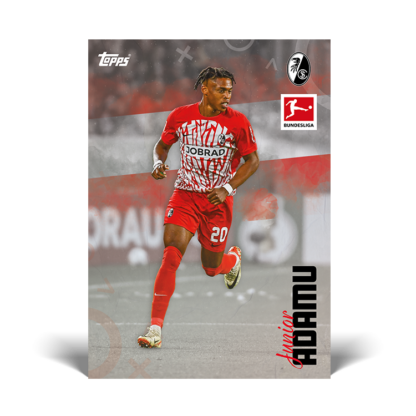 Topps Bundesliga International Stars 2023/24 – Bild 5