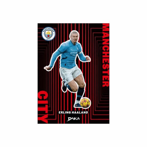 DAKA Manchester City Top Audience 2024⁄25 – Bild 6