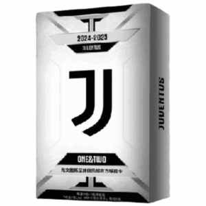 DAKA Juventus One & Two Hobby 2024/25